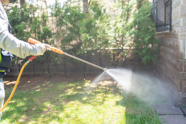 Reliable Truman, MN Pest Control Solutions